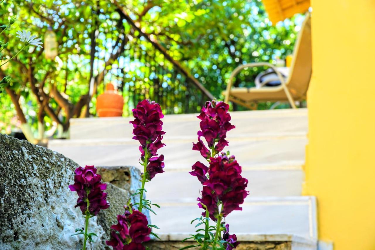 Villa Agnanti House Symi Exterior foto